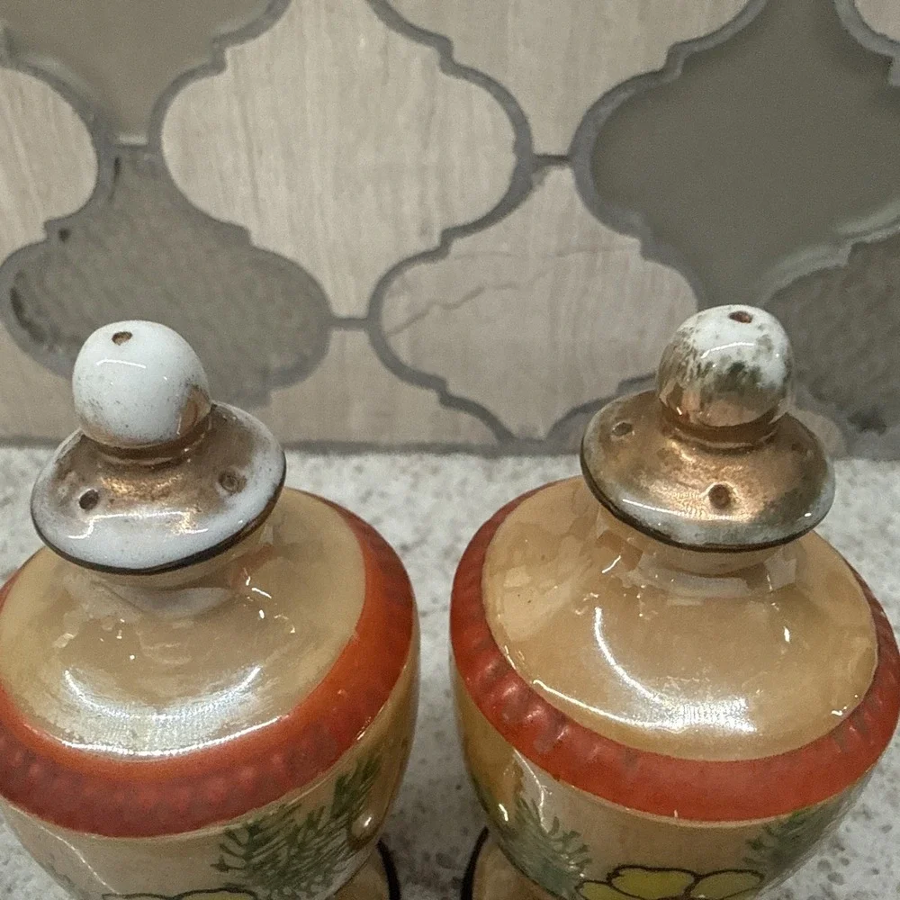 Vintage Floral Vase Shaped Salt & Pepper Shaker Set Made in Japan Hand painted‎